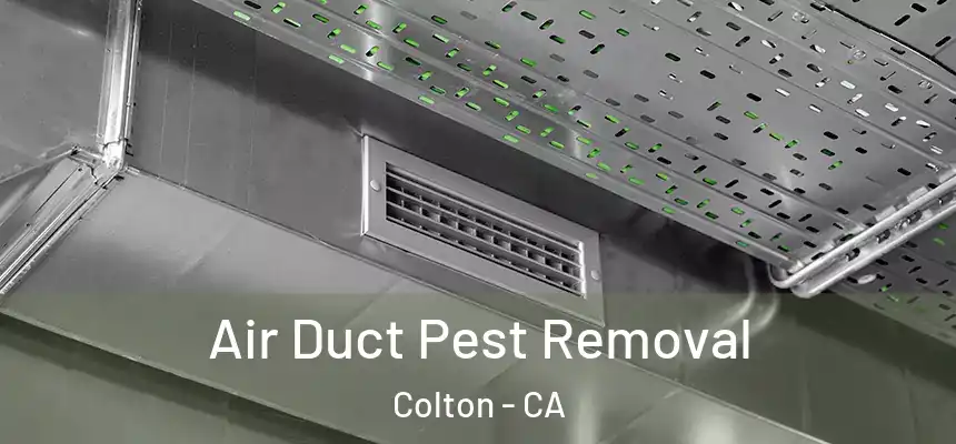 Air Duct Pest Removal Colton - CA