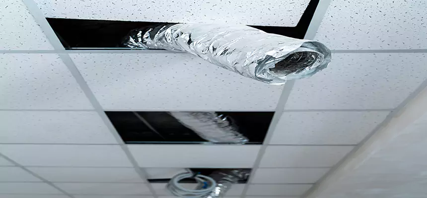 Affordable HVAC Sanitizing After Pest Removal in Colton