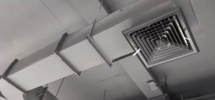 Restorative Allergy Relief Vent Cleaning – Coil, Blower & Housing Detail in Colton