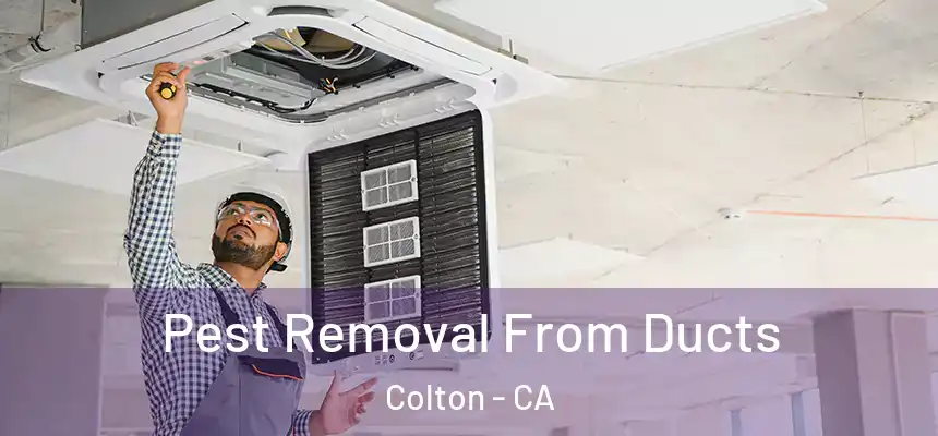 Pest Removal From Ducts Colton - CA