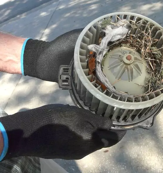 About Air Duct Rat Removal in Colton, CA