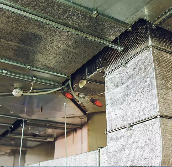 Why Homeowners & Businesses Trust Us in Colton, CA?