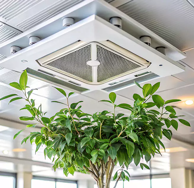 Why Homeowners & Businesses Trust Us in Colton, CA